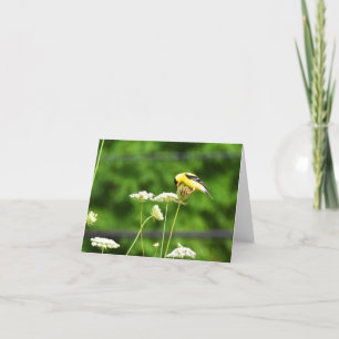 American Goldfinch #1 - Tomt anteckningskort