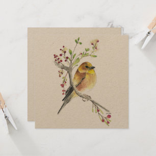 American Goldfinch Bird Berries Card Kort