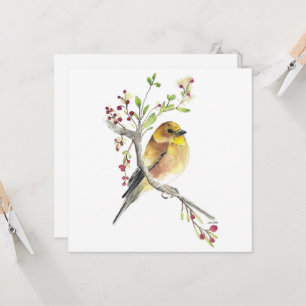 American Goldfinch Bird Berries Card Kort