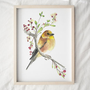 American Goldfinch Bird Watercolor Art Skriv ut Poster