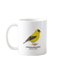 American Goldfinch - California Curted Collection