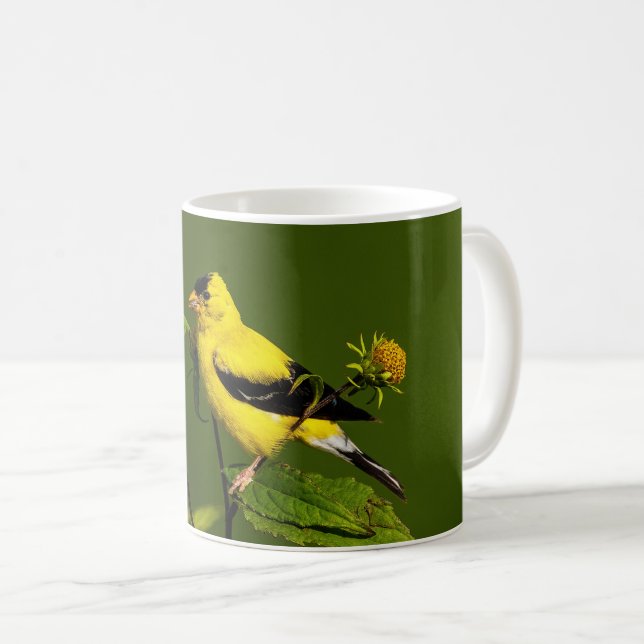 American Goldfinch Kaffemugg (Framsida höger)