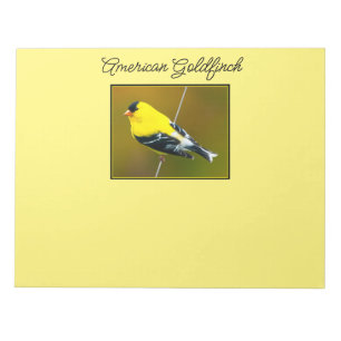 American Goldfinch - originalfoto Anteckningsblock