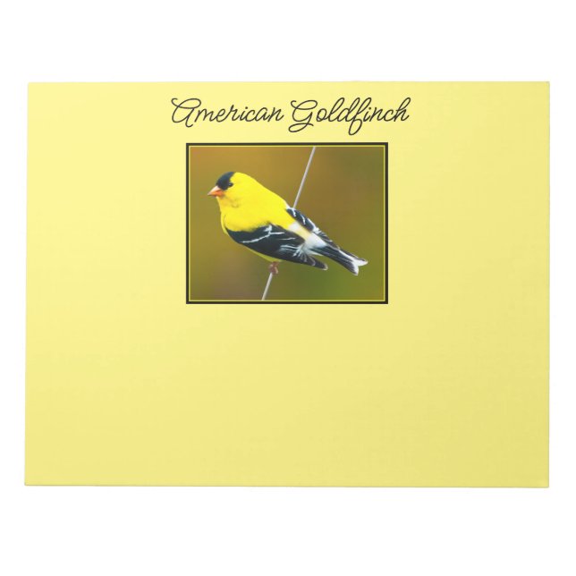 American Goldfinch - originalfoto Anteckningsblock (Framsida)