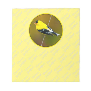 American Goldfinch - originalfoto Anteckningsblock