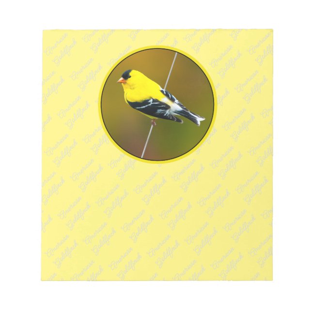 American Goldfinch - originalfoto Anteckningsblock (Framsida)