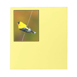 American Goldfinch - originalfoto Anteckningsblock