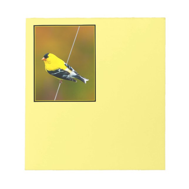 American Goldfinch - originalfoto Anteckningsblock (Framsida)