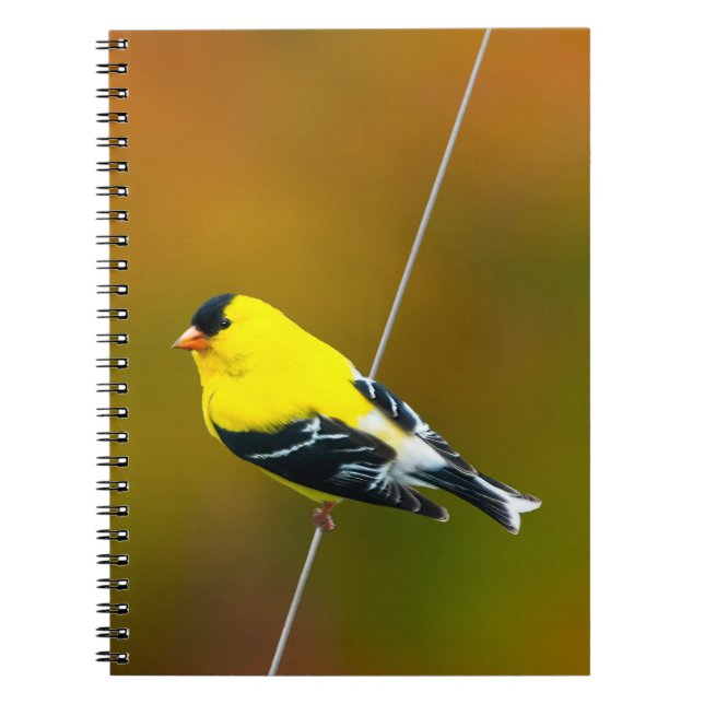 American Goldfinch - originalfoto Anteckningsbok (Framsidan)