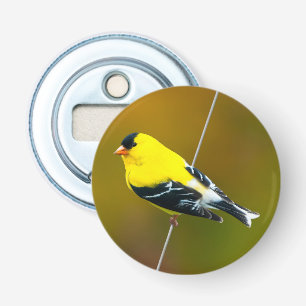 American Goldfinch - originalfoto Flasköppnare