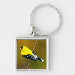 American Goldfinch - originalfoto Fyrkantig Silverfärgad Nyckelring