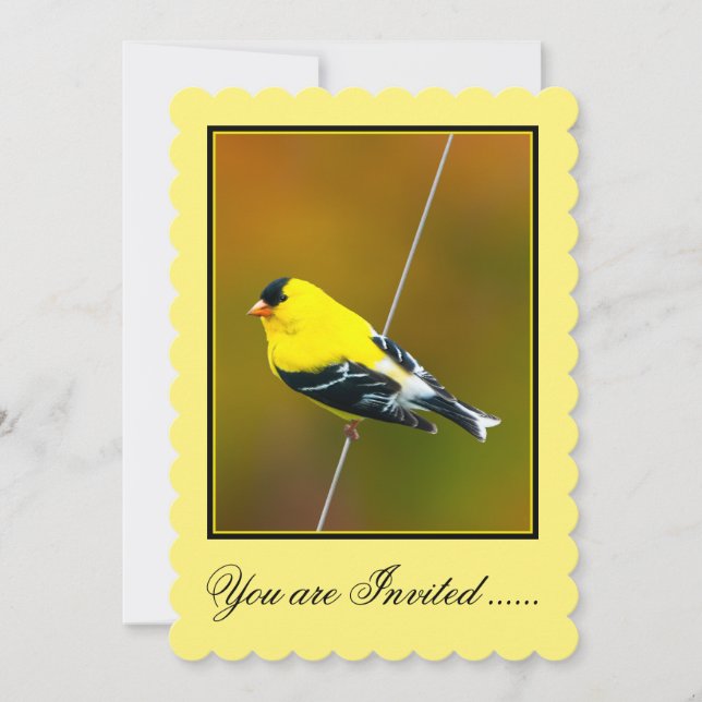 American Goldfinch - originalfoto Inbjudningar (Framsida)