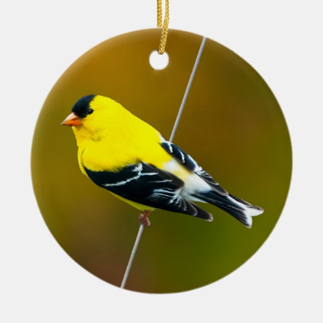 American Goldfinch - originalfoto Julgransprydnad Keramik (Framsidan)