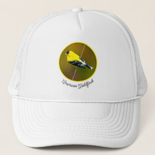 American Goldfinch - originalfoto Keps