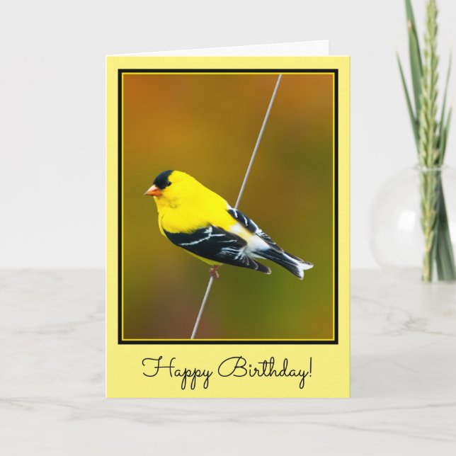 American Goldfinch - originalfoto Kort (Framsida)