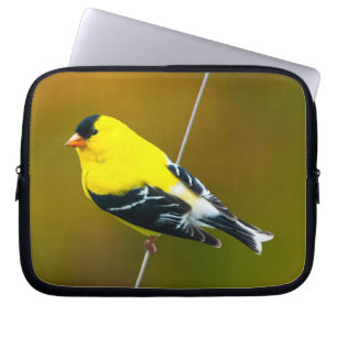 American Goldfinch - originalfoto Laptop Fodral