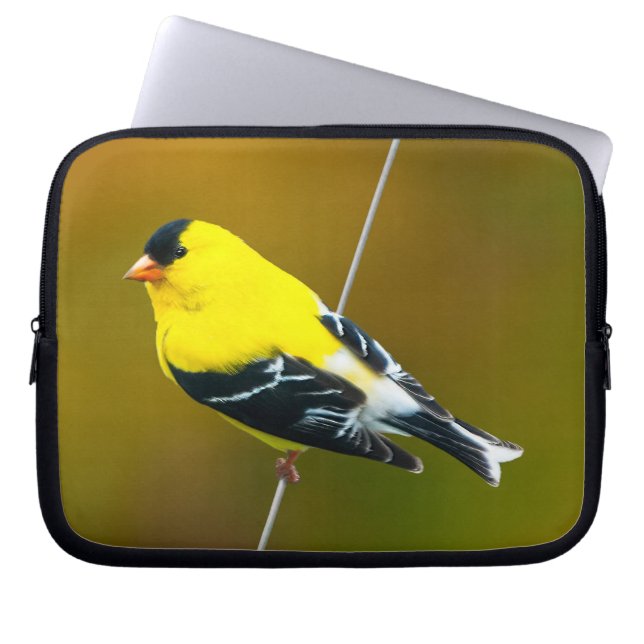 American Goldfinch - originalfoto Laptop Fodral (Framsidan)