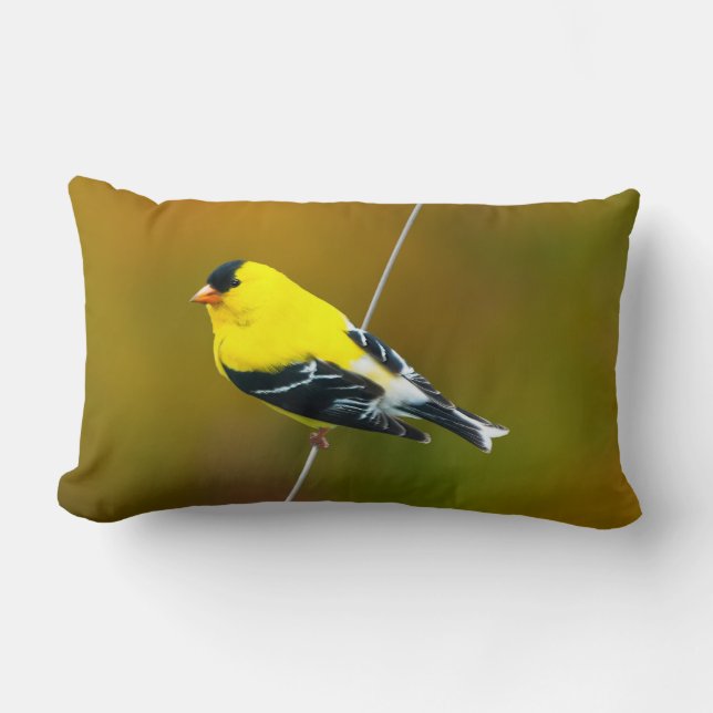 American Goldfinch - originalfoto Lumbarkudde (Framsida)