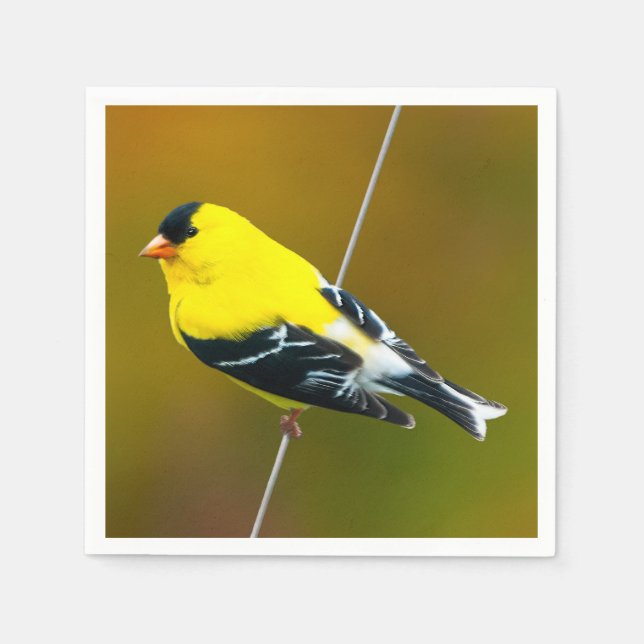 American Goldfinch - originalfoto Pappersservett (Framsidan)