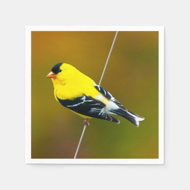 American Goldfinch - originalfoto Pappersservett (Framsidan)