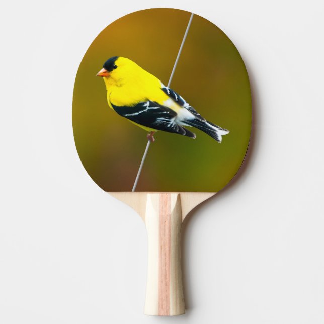 American Goldfinch - originalfoto Pingisracket (Framsidan)