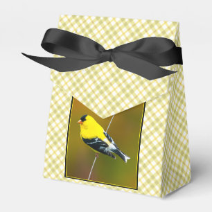 American Goldfinch - originalfoto Presentaskar