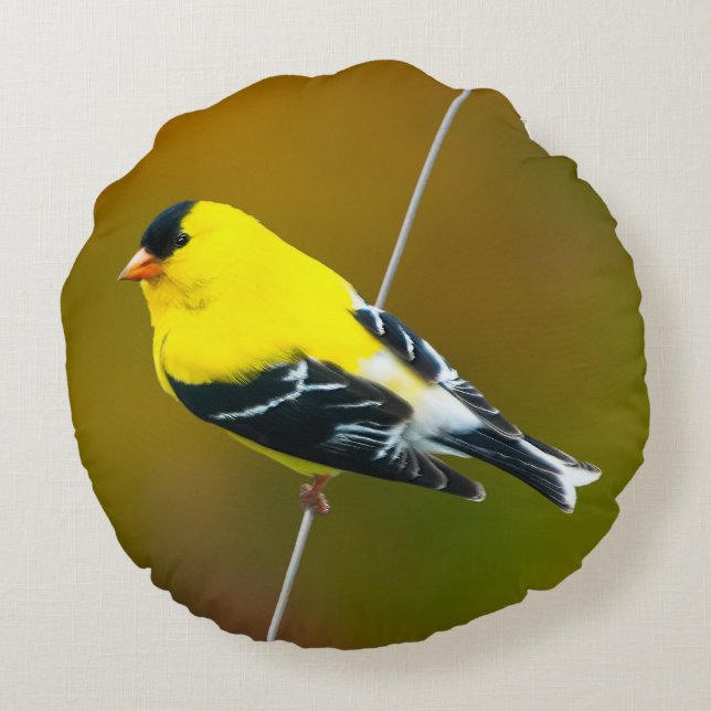 American Goldfinch - originalfoto Rund Kudde (Baksidan)