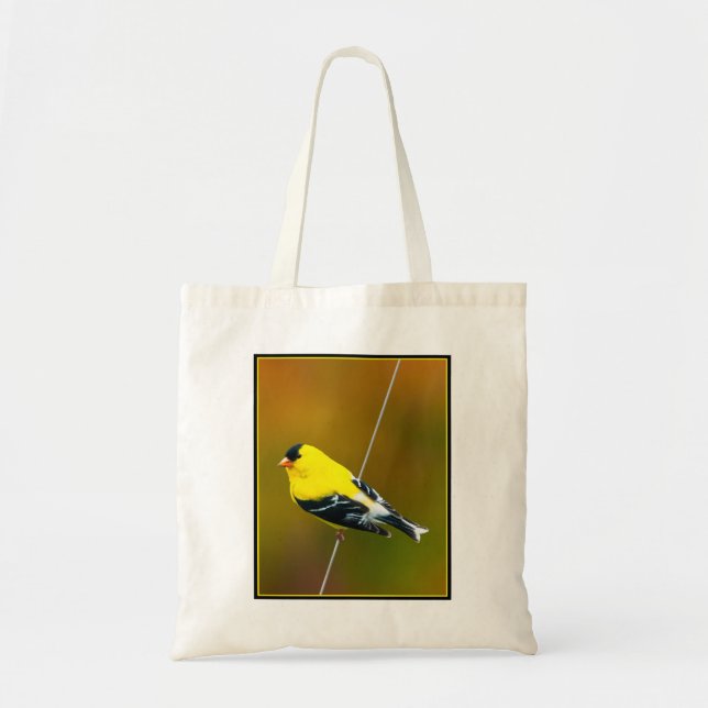 American Goldfinch - originalfoto Tygkasse (Framsidan)