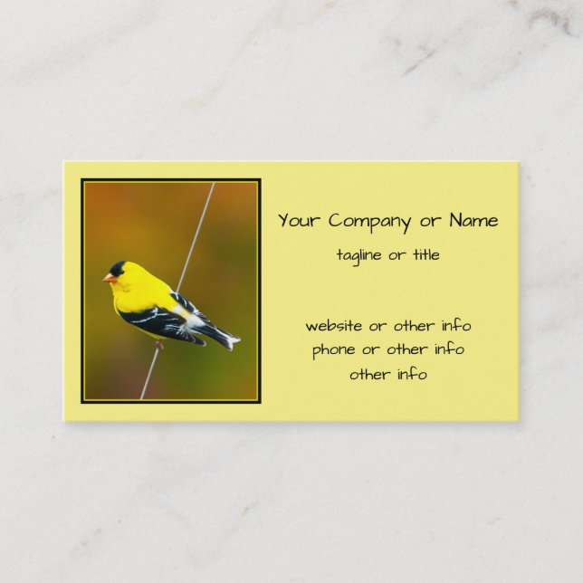 American Goldfinch - originalfoto Visitkort (Framsida)