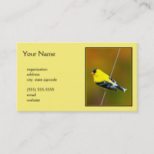 American Goldfinch - originalfoto Visitkort