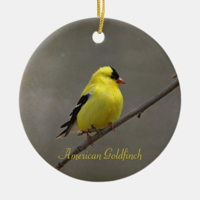 American Goldfinch Photography Round Julgransprydnad Keramik (Framsidan)