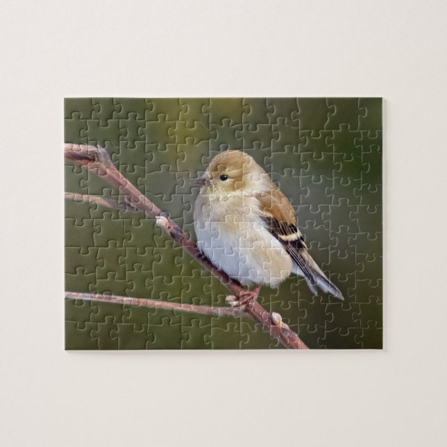 American Goldfinch Pussel (Horisontell)