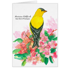 American Goldfinch Washington State Bird Blank Hälsningskort