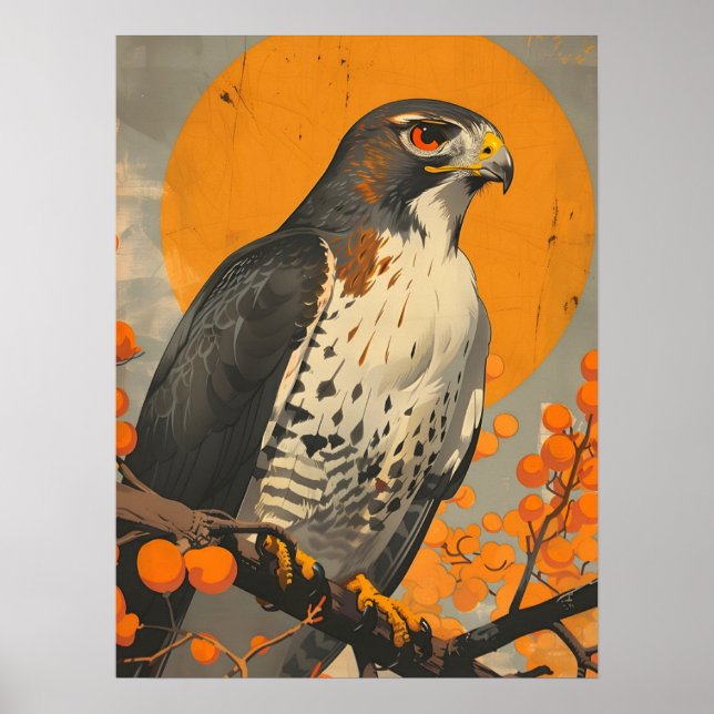 American Goshawk Poster (Framsidan)