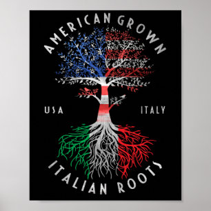 American Grown Italy Roots Italien Flagga National Poster