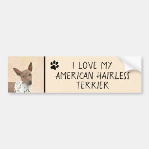 American Hairless Terrier Painting - Hund Art Bildekal