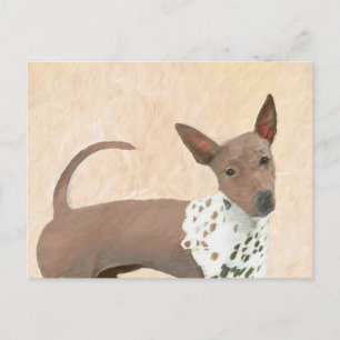 American Hairless Terrier Painting - Hund Art Vykort