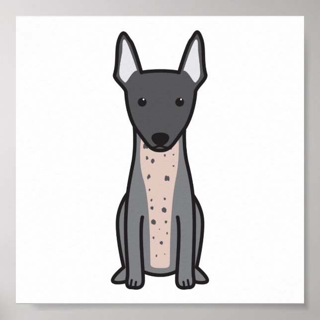 American Hairless Terrier Poster (Framsidan)
