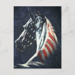 American Horse Vykort