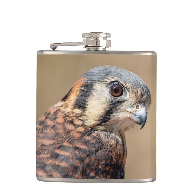 American Kestrel Fickplunta (Framsidan)
