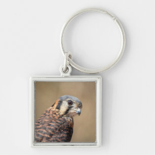 American Kestrel Fyrkantig Silverfärgad Nyckelring