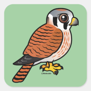 American Kestrel Fyrkantigt Klistermärke