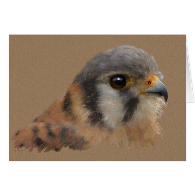 American Kestrel Hälsningskort (Framsidan Horizontal)