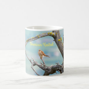American Kestrel Kaffemugg