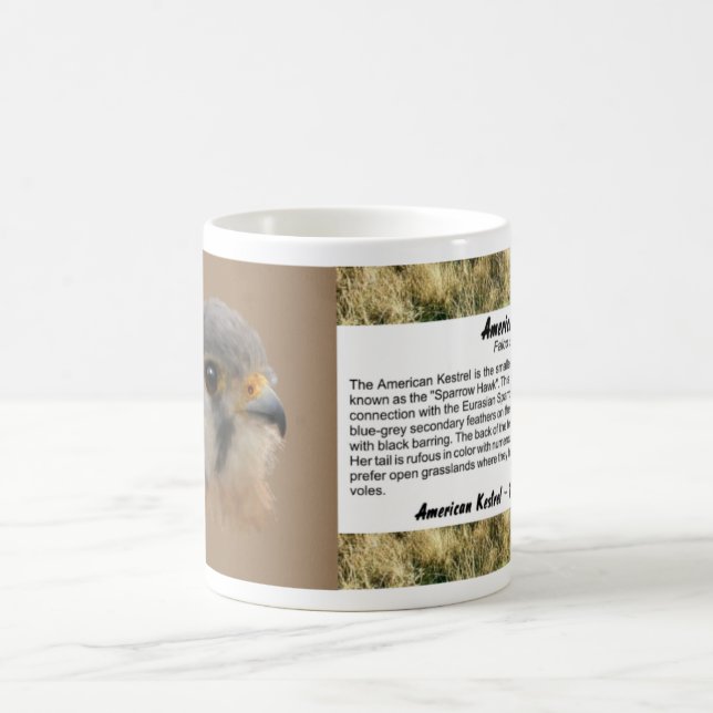 American Kestrel Kaffemugg (Center)