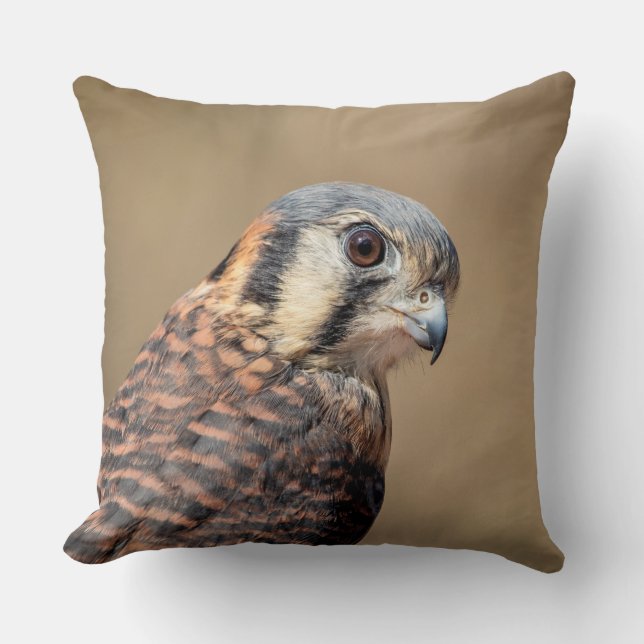 American Kestrel Kudde (Framsida)