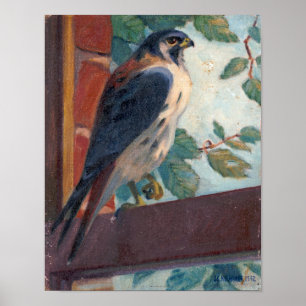 American Kestrel - Kulhanek Wildlife (1942) Poster