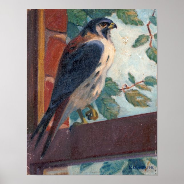 American Kestrel - Kulhanek Wildlife (1942) Poster (Framsidan)