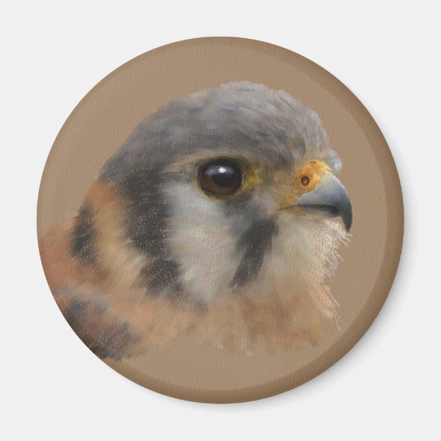 American Kestrel Magnet (Framsidan)