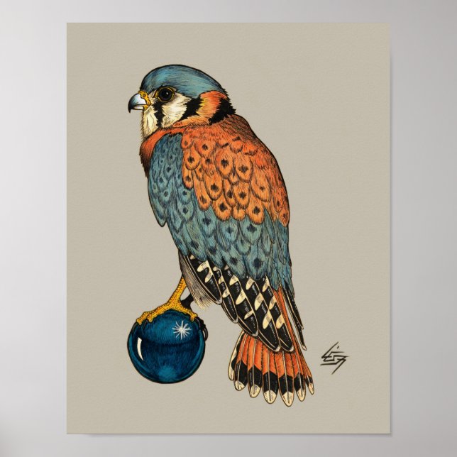 American Kestrel på blå glaset boll Poster (Framsidan)